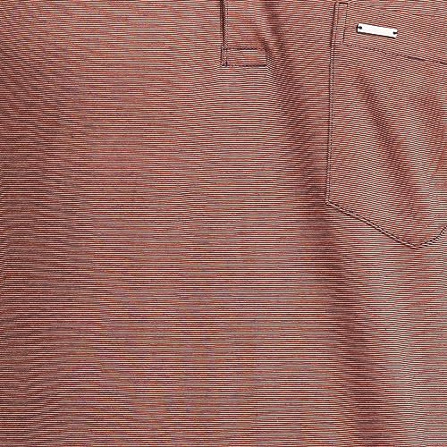 Image of Park Avenue Men's Pure Cotton Two Tone Pattern Slim Fit Polo Collar Half Sleeve Casual T-Shirt