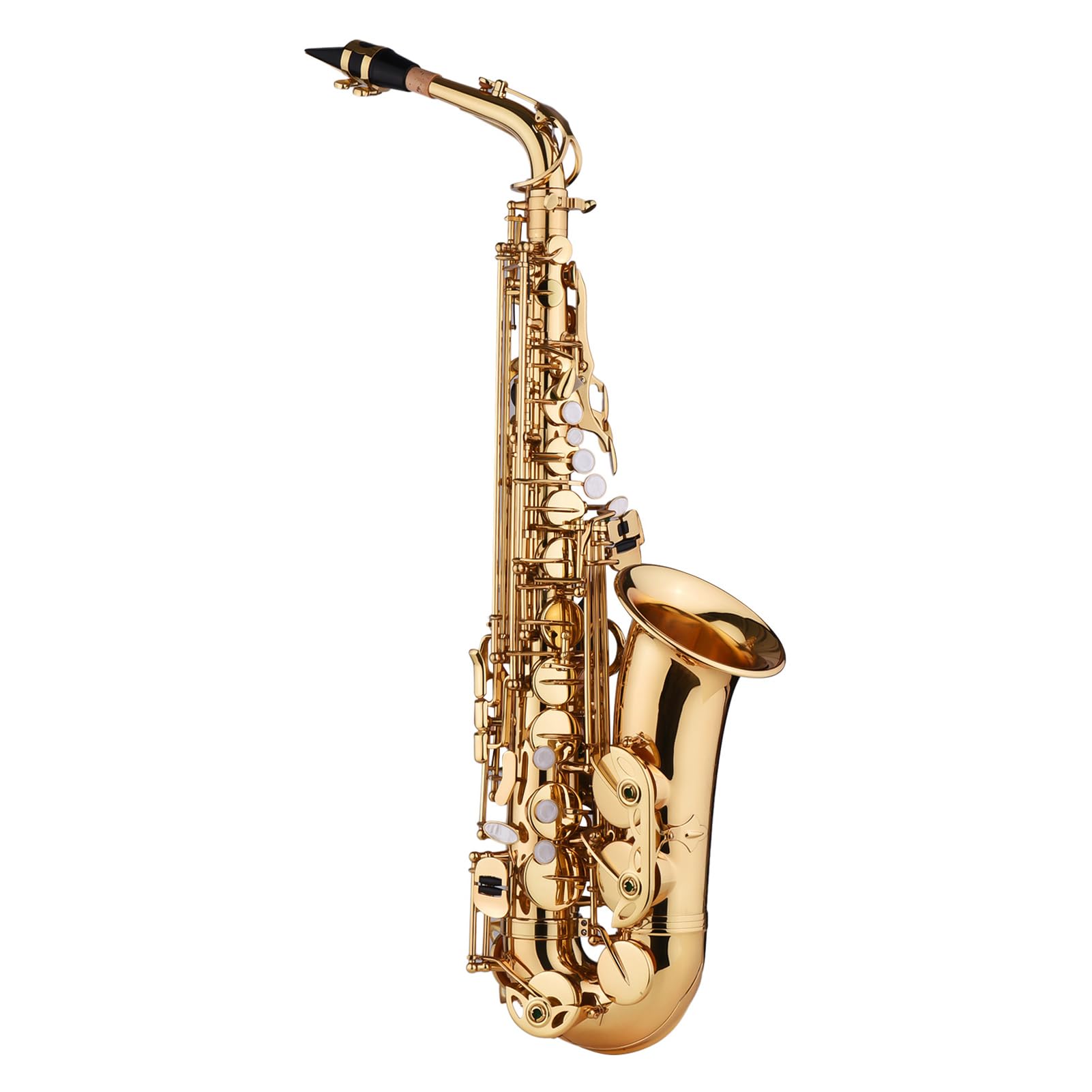 Mi Bemolle Sassofono Contralto in Ottone con Custodia per Studenti Principianti (GOLD)