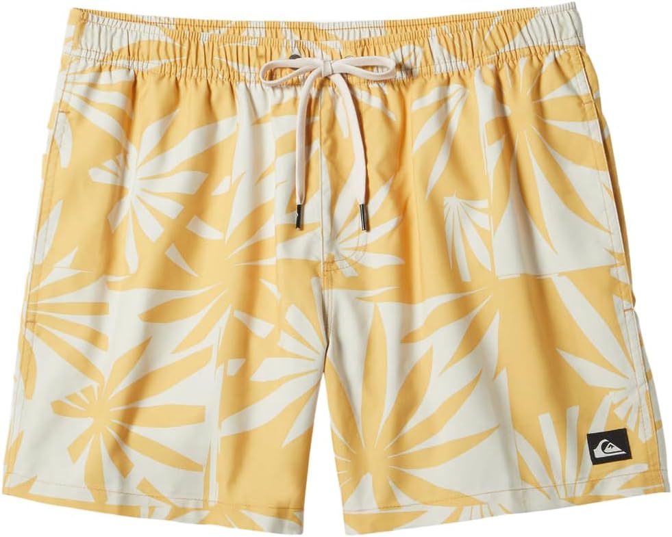Quiksilver Men's Standard Everyday Mix 17 Volley Boardshort Swim Trunk