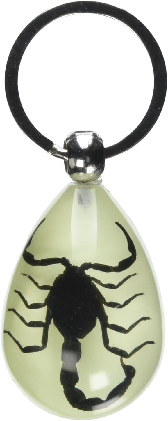 Ed Speldy East YK608 Real Bug Key Chain-Tear Drop Shape-Glow in the Dark-Black Scorpion