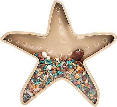 Sea Shell Display Box Wooden Starfish Holder with Acrylic Panel Storage Box for Mini Shells Sea Glass Small Starfish Shark Tooth Seashell Collection Storage Home Decor Birthday Present