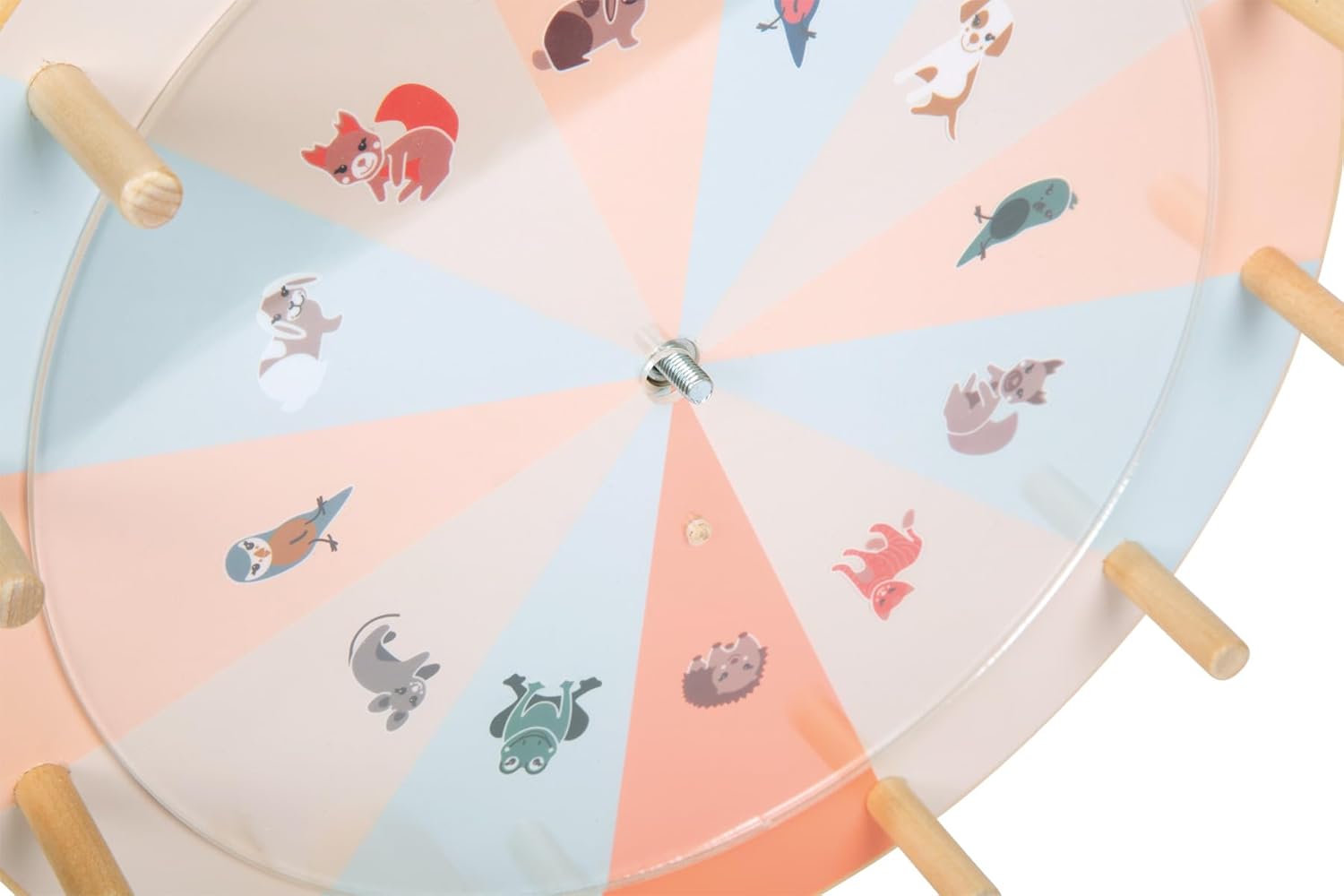 small foot Garden Buddies Wheel of Fortune Wooden Disc and Customisable Designs for Kids from 3 Years, 12645