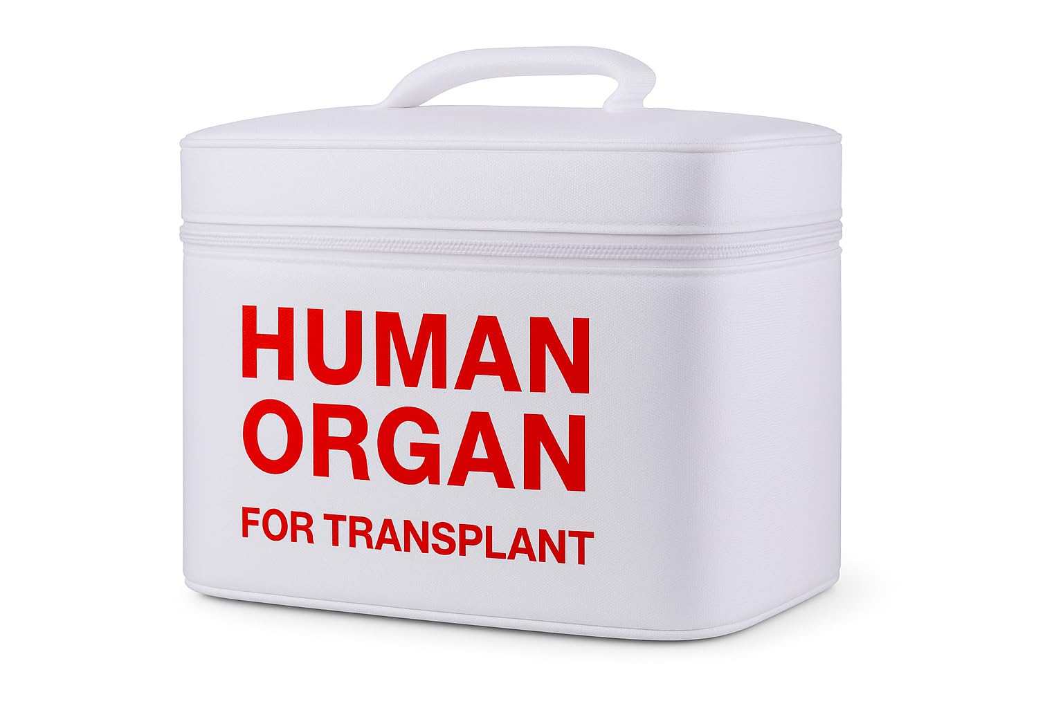 Amazon.com: Vintage and Funny Human Organ Lunch Box,the Safest Box
