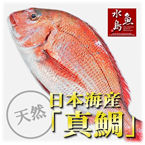 Amazon.co.jp: 魚水島 天然真鯛 マダイ 桜鯛 日本海産 4.5～4.9キロ物