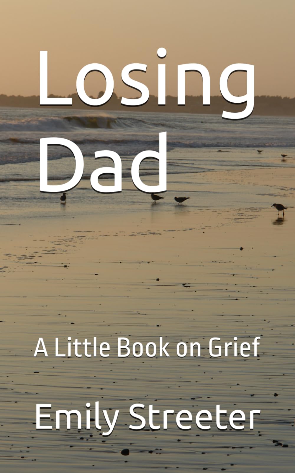 Losing Dad: A Little Book on Grief