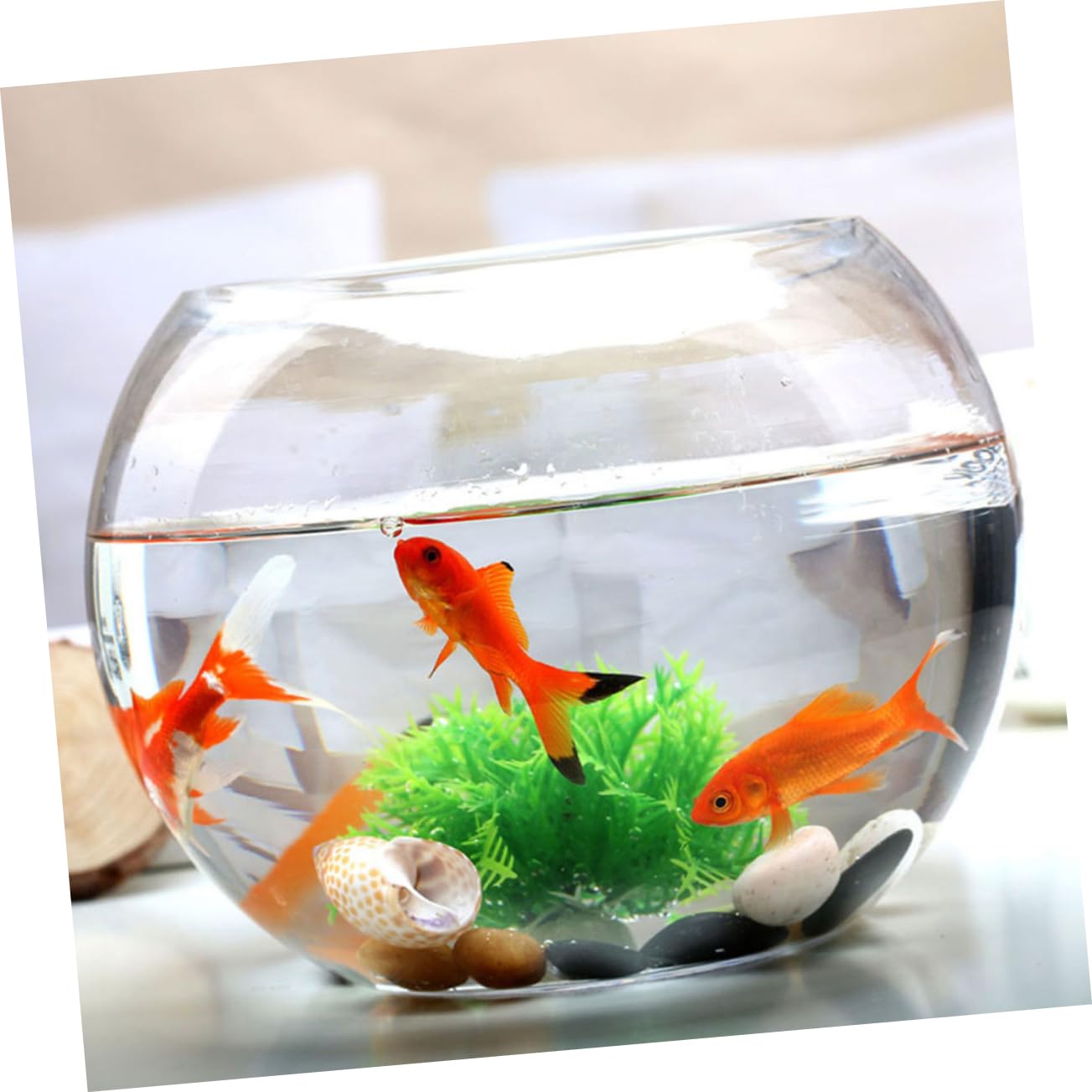 POPETPOP Aquarium en Verre Bocal à Poisson De Table Bocal à Poisson Vase Rond Vase en Cercle Aquarium De Bureau Vases Ronds Bol Hydroponique Un Verre Transparent