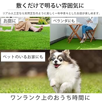 Amazon | アイリスオーヤマ リアル人工芝 1m×15m | 人工芝