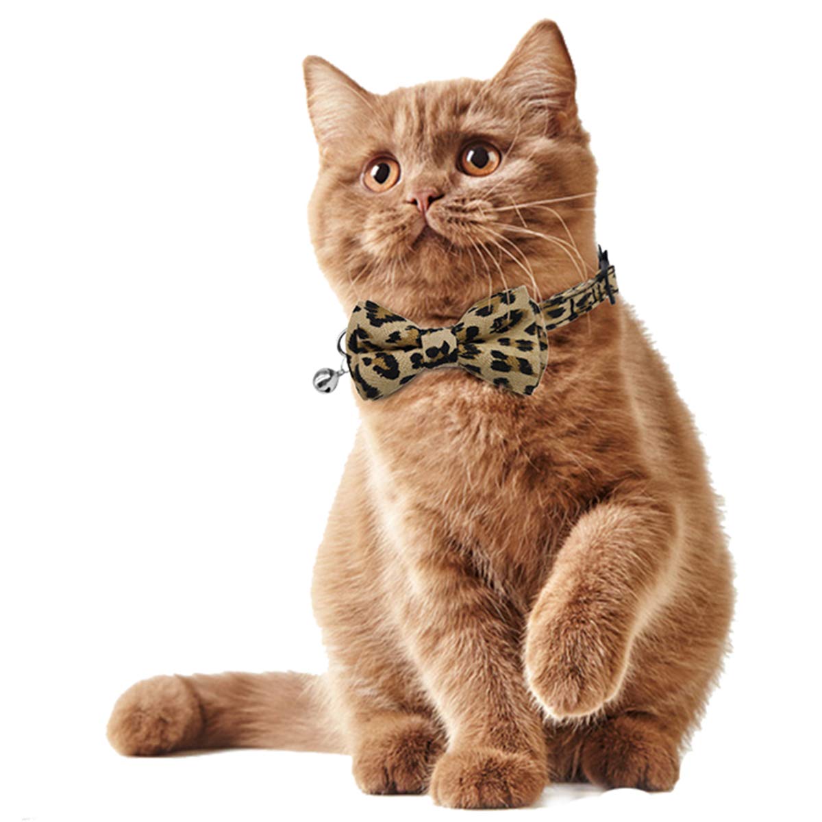 Katzenhalsband, mit Schleife und Glöckchen, verstellbar von 19 - 26 cm, 2 Stück