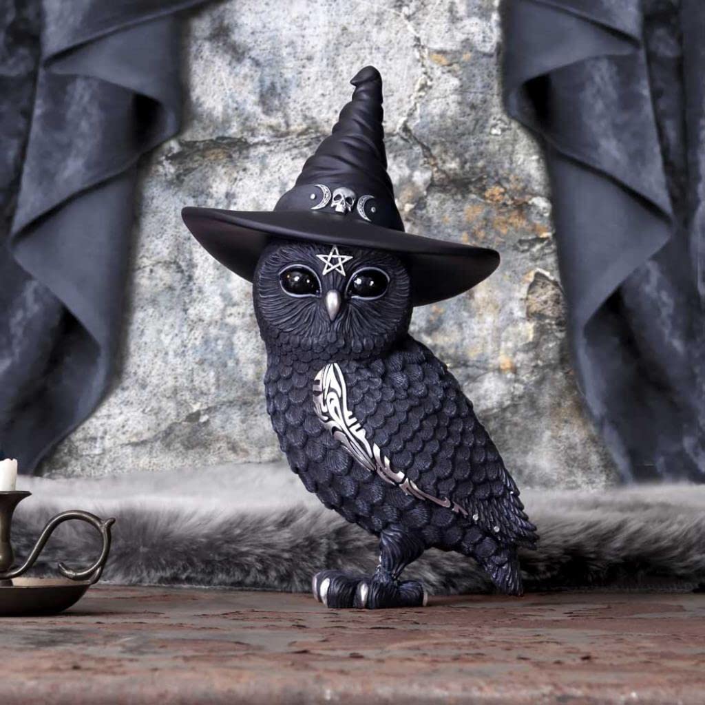 Amazon.com: Nemesis Now Cult Cuties Owlocen 30cm, Resin, Black