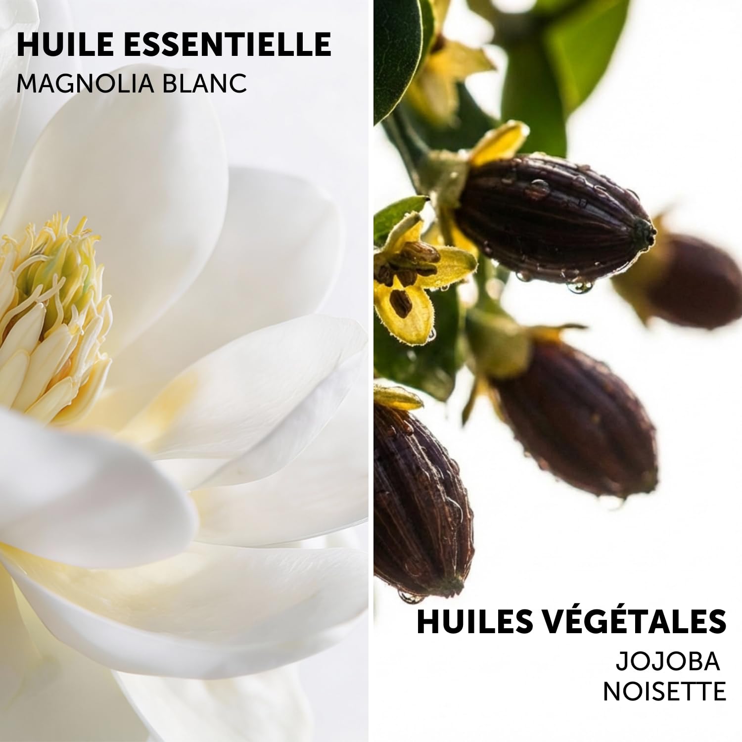Decléor Aromessence Magnolia Blanc Sérum Huile Visage Régénérant, Soin Anti-Âge pour Redensifier la Peau, Lisser les Rides et Régénérer la Peau