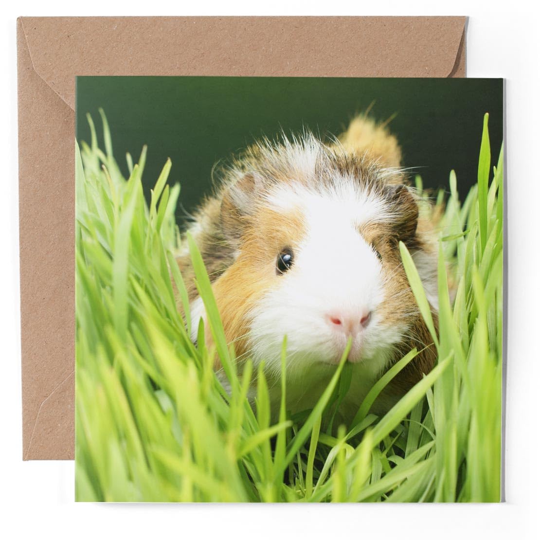 1 Carte De Vœux (insert Photo) - Adorable Couple De Cochons D'Inde