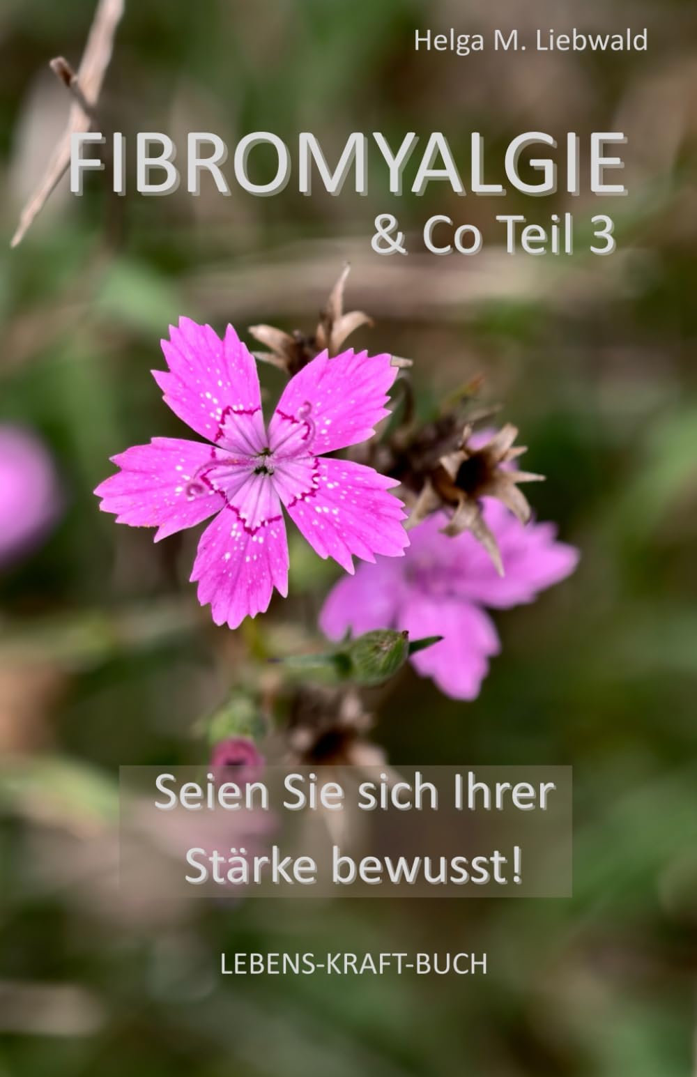 Fibromyalgie & Co Teil 3: Seien Sie sich Ihrer Stärke bewusst! (LEBENS-KRAFT-BUCH)