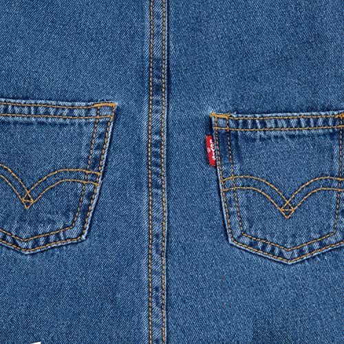 Levi's Baby Boy's Denim Overall, Napoleon, 2T #TOP3