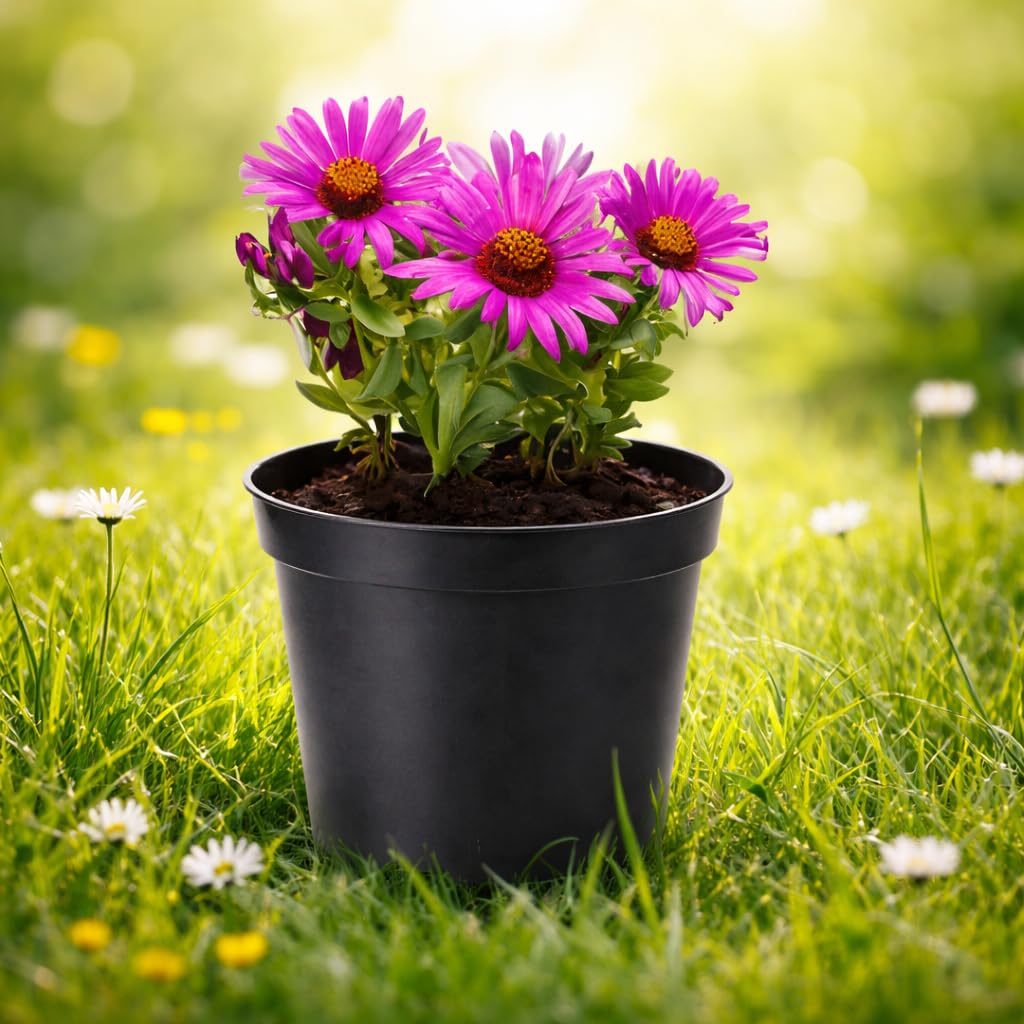 Wohnkult 50 x Anzuchttopf Pflanztopf 10 L schwarz Ø 28 cm x 22 cm Blumentopf Blumenkübel Pflanztöpfe