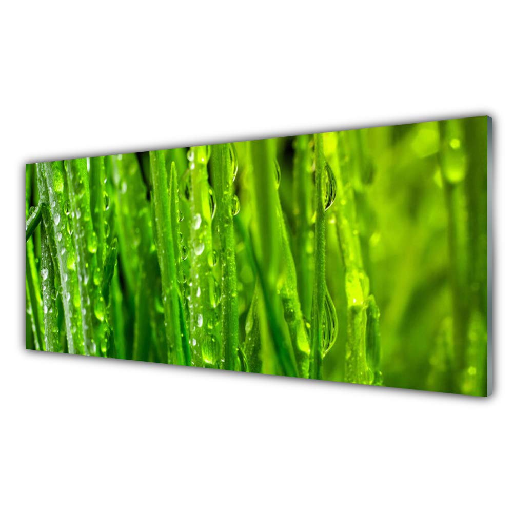 Tableau Mural Impression Verre Acrylique Herbe Nature deco salon panoramique 125x50cm
