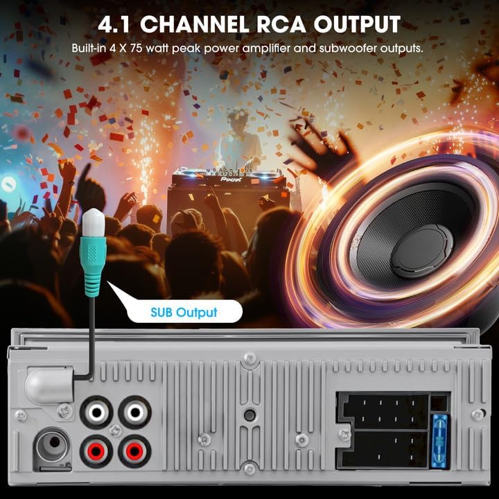 4.1 Channel RCA output for subwoofer and external ampmai în viață