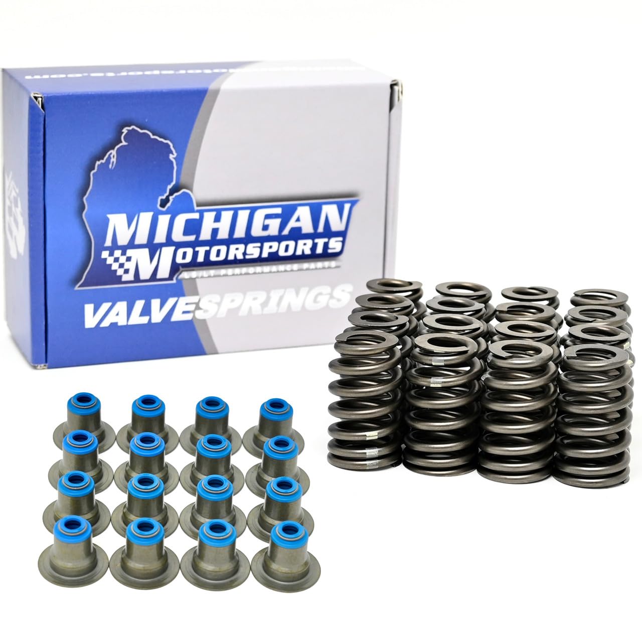 Amazon.com: Michigan Motorsports .550
