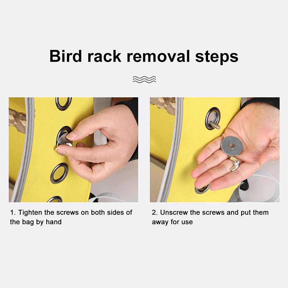 Bird Carrier Backpack Cage Transparent Parrot Carrier 1 Stick Wooden Standing Perch 12 Holes Ventilate Transparent Space Capsule Carrier Portable Bird Small Animal Travel Cage (red)