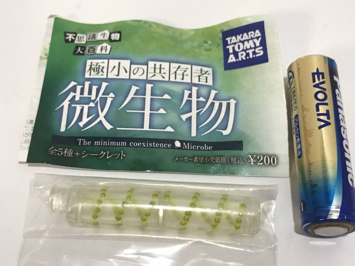 不思議生物大百科極小の共存者微生物 クマムシ、アオミドロ
