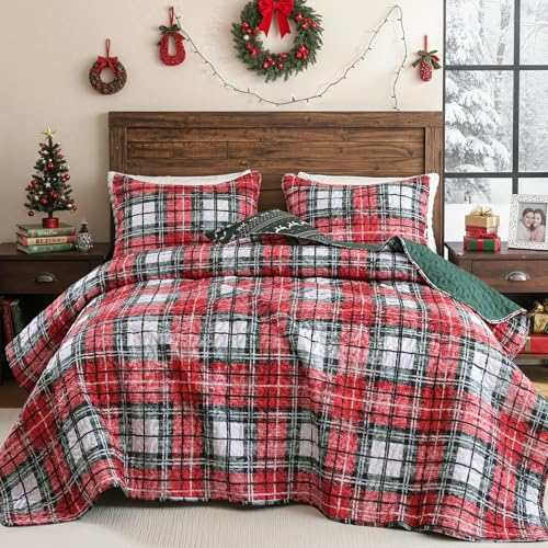 FROZZUR Weihnachts-Steppdecken-Set für Queen-Size-Bett, leicht,...