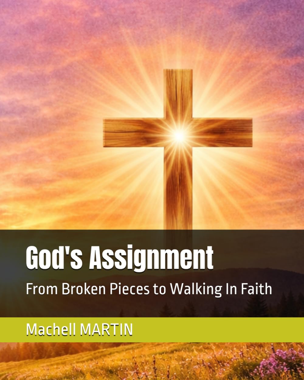 God's Assignment: From Broken Pieces to Walking In Faith (God Assignment Books)