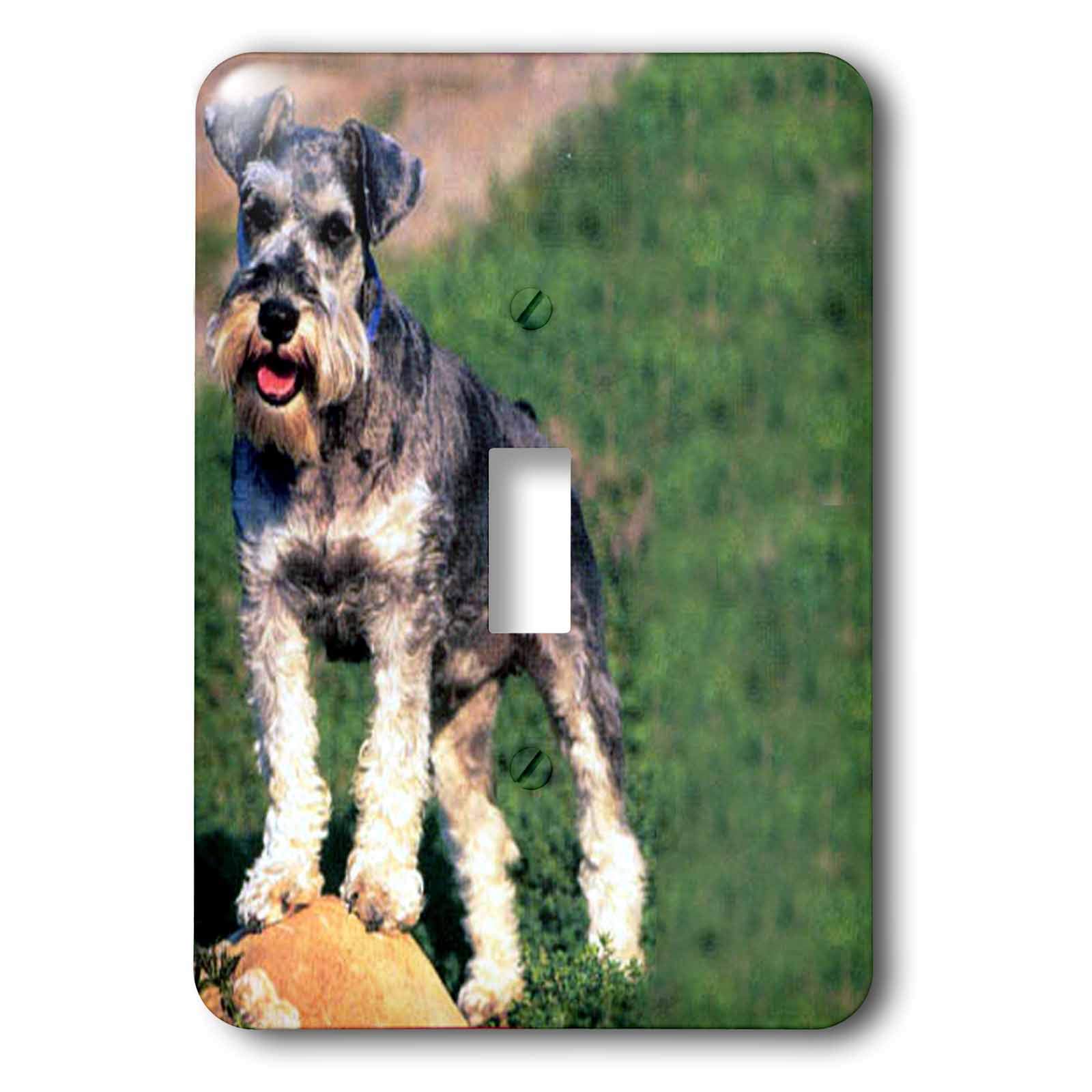 Schnauzer Interrupteur pour remplacer une plaque usée et décorer votre mur triste 3dRose
