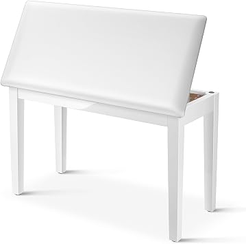 Donner DEP-20 Beginner Digital Piano+Donner Duet Piano Bench with Storage