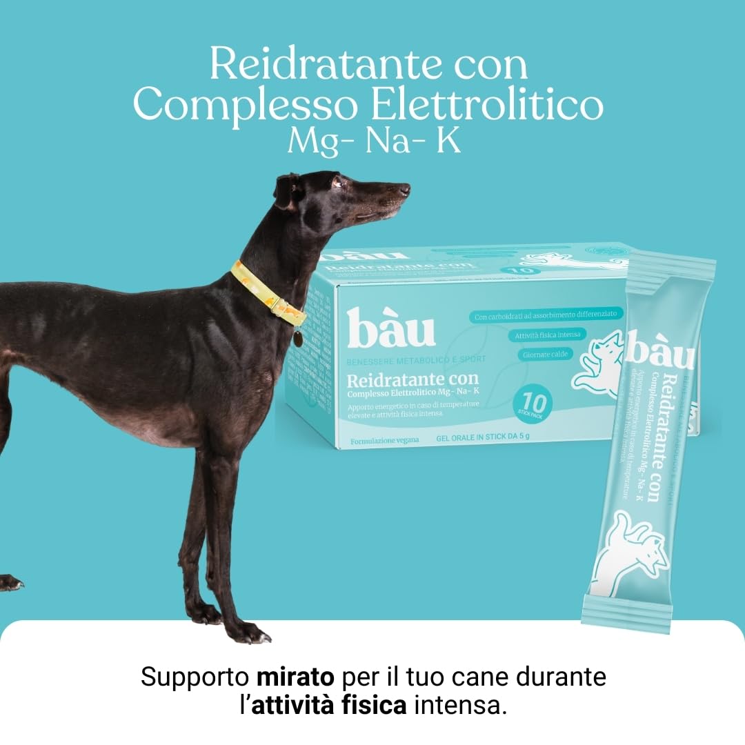 BAU Rehidratante Electrolítico para Perros Deportistas – Ideal con Calor – Gel Energético con Magnesio, Sodio y Potasio – Apoyo Durante la Actividad – Sticks Monodosis