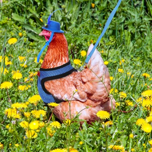 Image of Zhanmai 9 Pcs Chicken Harness and Leash for Hens Funny Chicken Accessories with Leash and Hats for Hens Duck Goose Parrot Small Pet Harness Adjustable Training Walking Supplies (L)