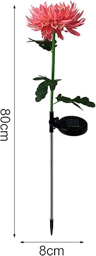 Miniatura 5 de BesT To Buy - Paquete de 4 luces solares para exteriores, luces solares de jardín con 4 flores de crisantemo más grandes, panel solar más grande