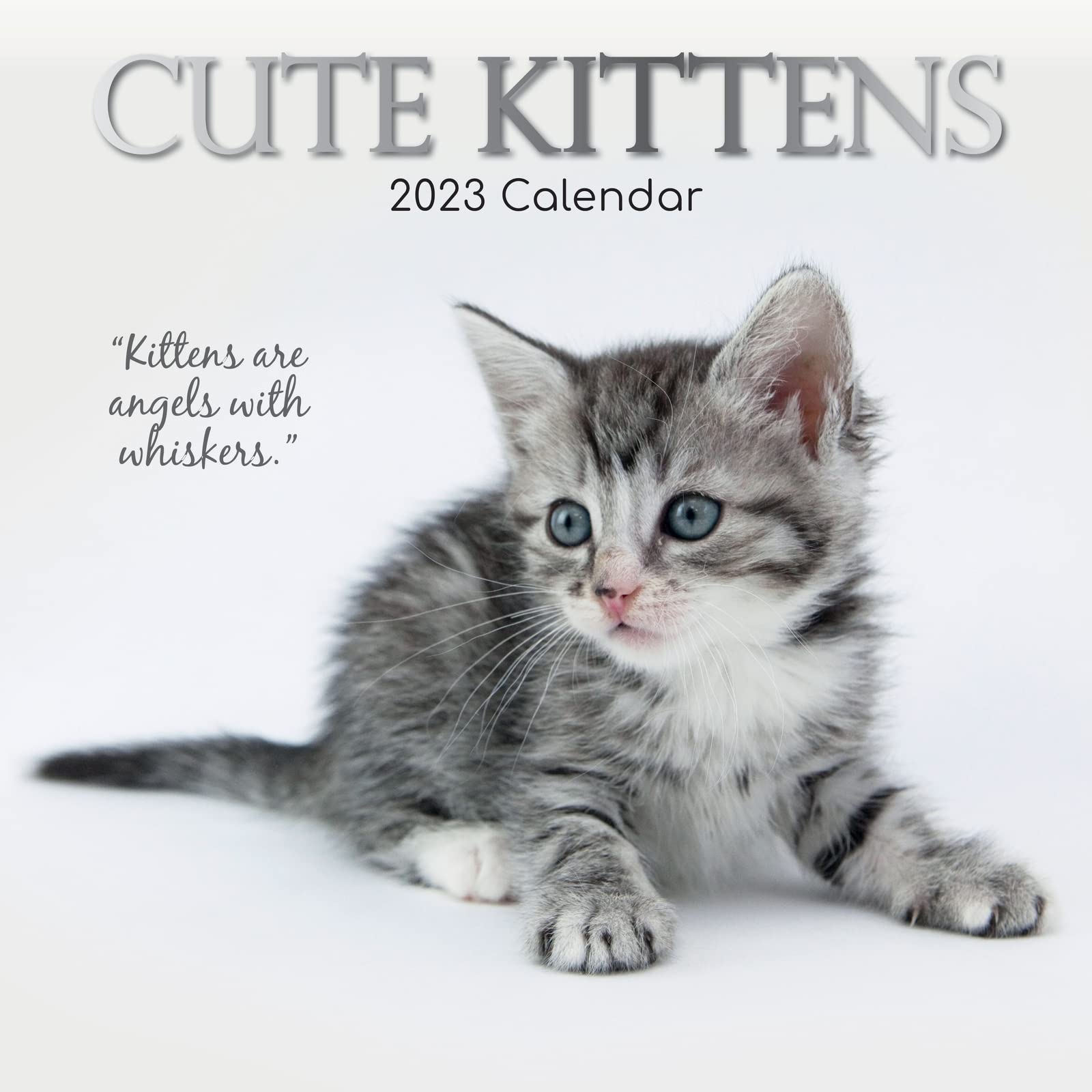 Photo 1 of 2023 Square Wall Calendar, Cute Kittens, 16-Month Animals Theme with 180 Reminder Stickers (12 x 12 In)