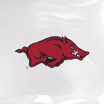 Littlearth NCAA North Carolina State Wolfpack Clear Square Stadium Tote