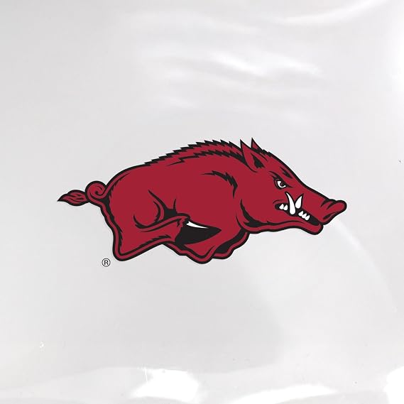 Littlearth NCAA Clear Square Stadium Tote Bag