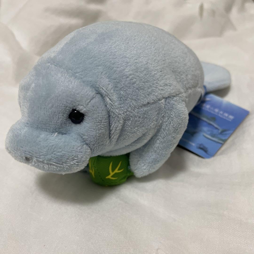 Amazon.co.jp: 沖縄 美ら海水族館 マナティ ぬいぐるみ : おもちゃ