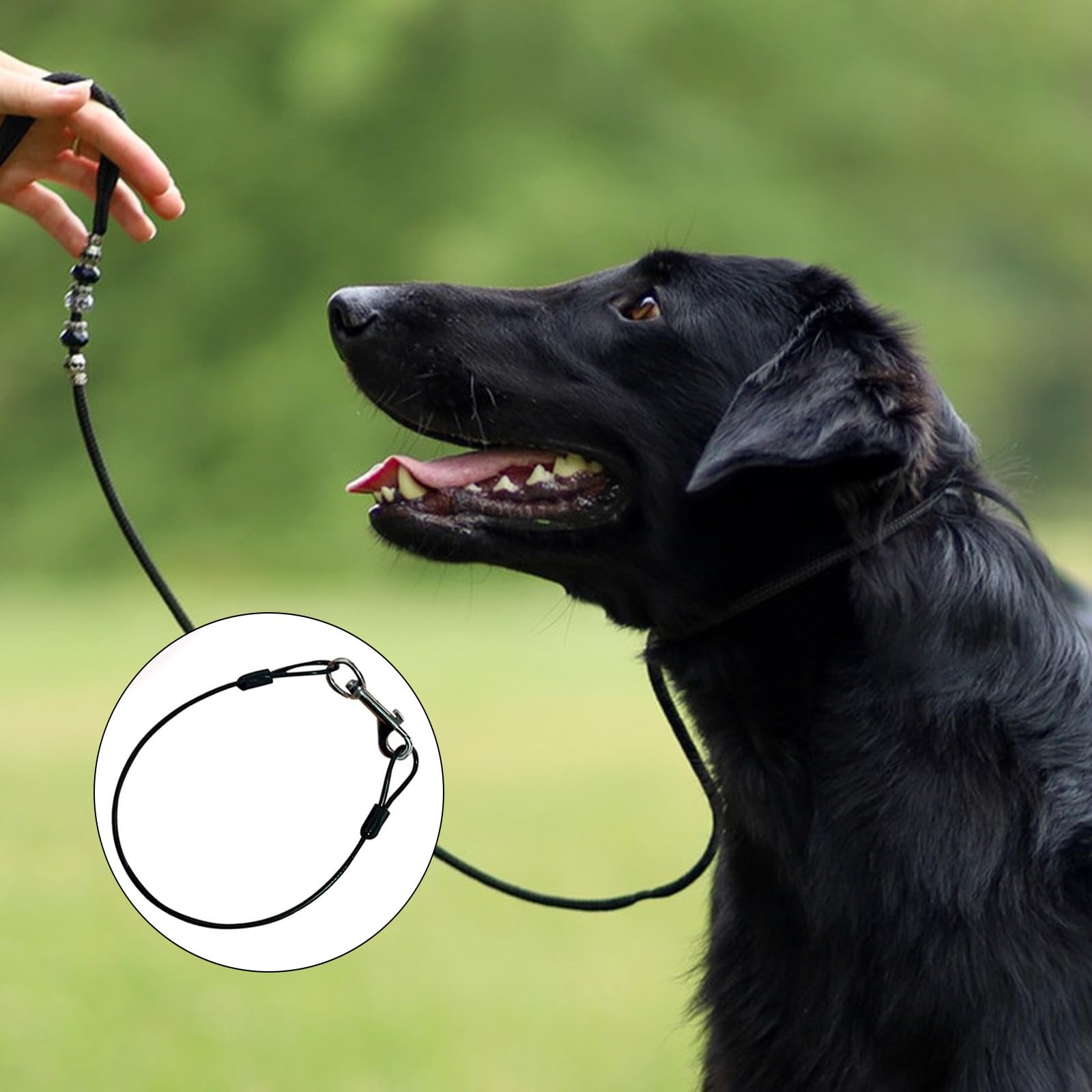 2Pcs Dog Car Harnesses,Chew Proof Dog Leash Extension Rope Safety Restraint No-Chew Tether Cable for Pet Leash Collar - Image 4