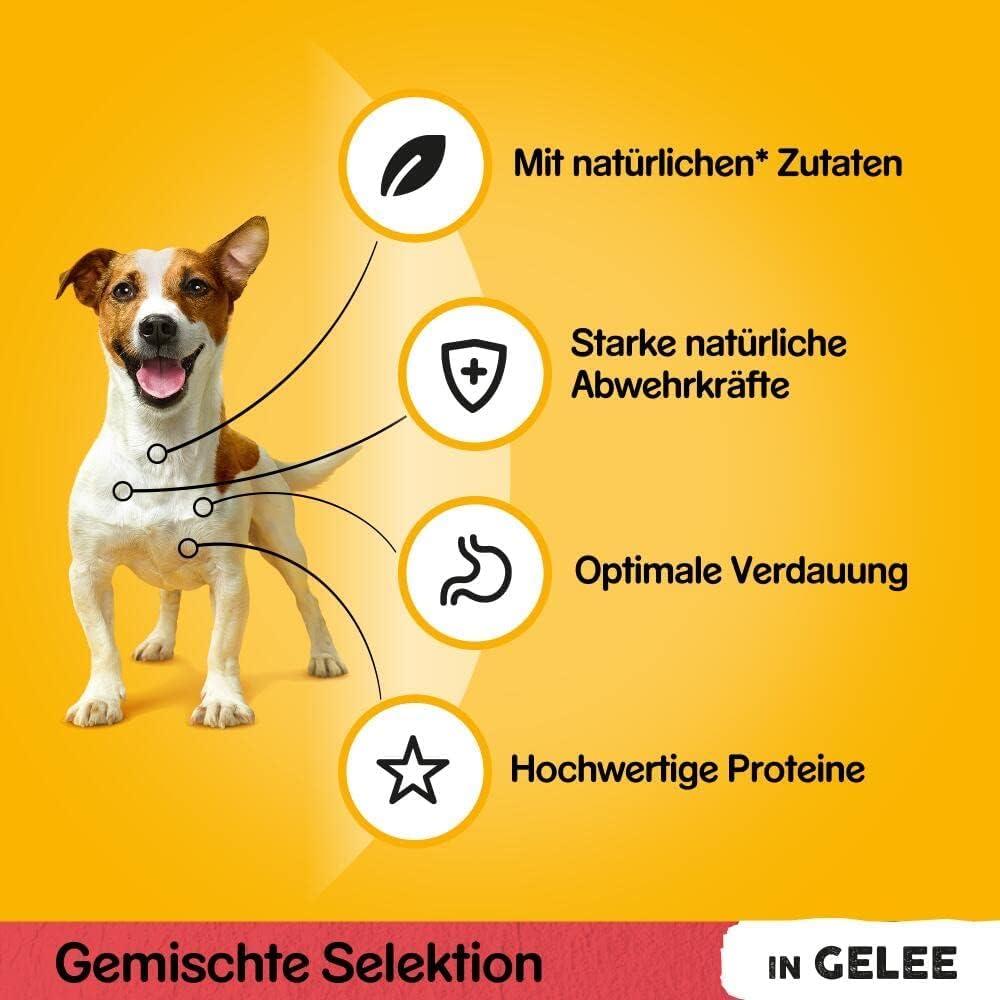 Pedigree Senior maaltijdzak in gelei multi 4-pack bestellen | Albert Heijn