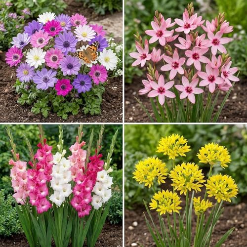 image for Touch Of ECO Amazing Deal-Complete Spring & Summer 100 Bulbs Blooming 