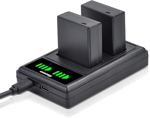 Hisewen DMW-BLG10 DMW-BLG10PP DMW-BLE9 Batería 2 piezas, cargador dual para Panasonic Lumix DMC-GX85 DMC-GX80 DMC-ZS60 DMC-ZS100 DMC-GF3 DMC-GF5