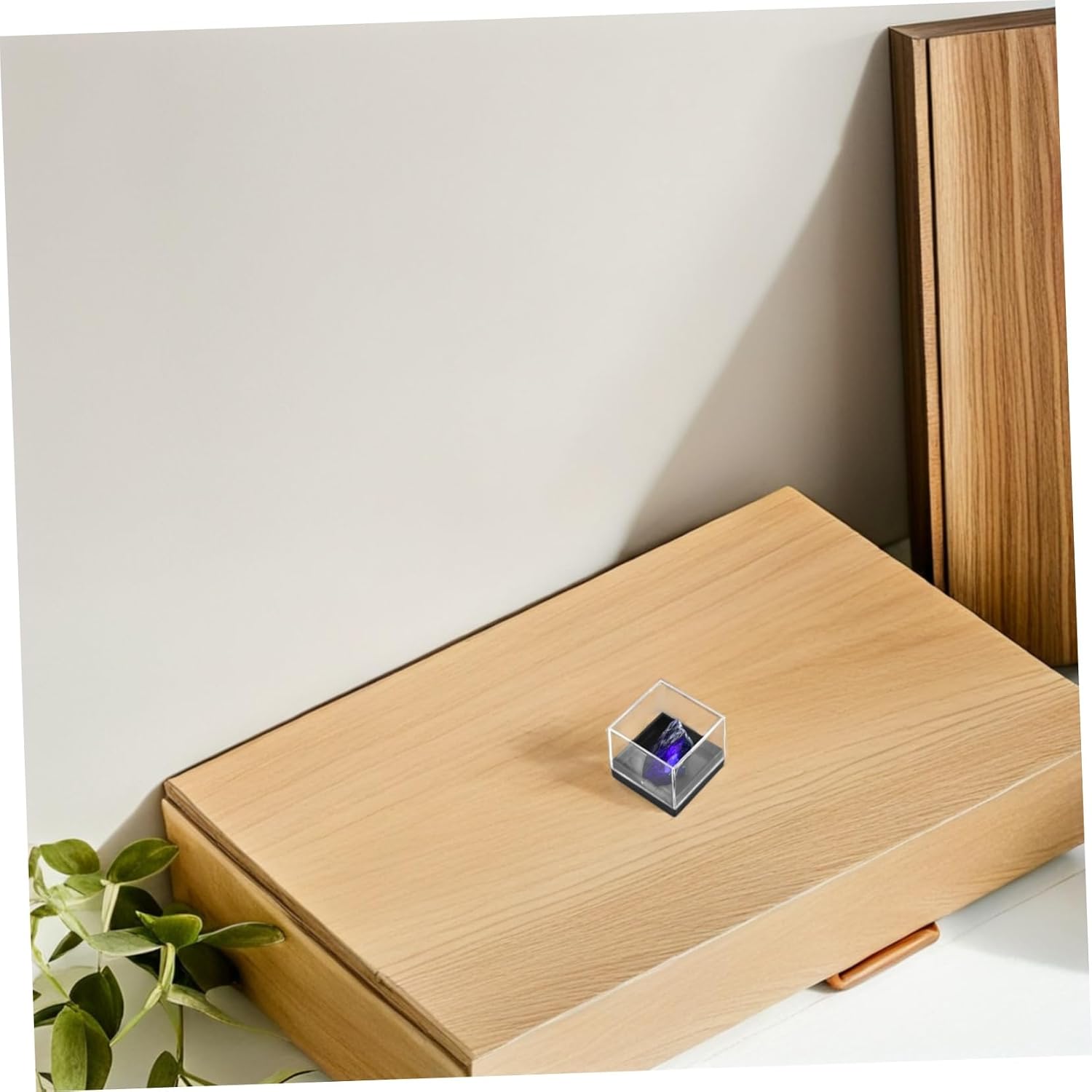 TOPPERFUN 24pcs Specimen Display Box Storage Containers Square Specimen Case for Home Store Smooth Texture