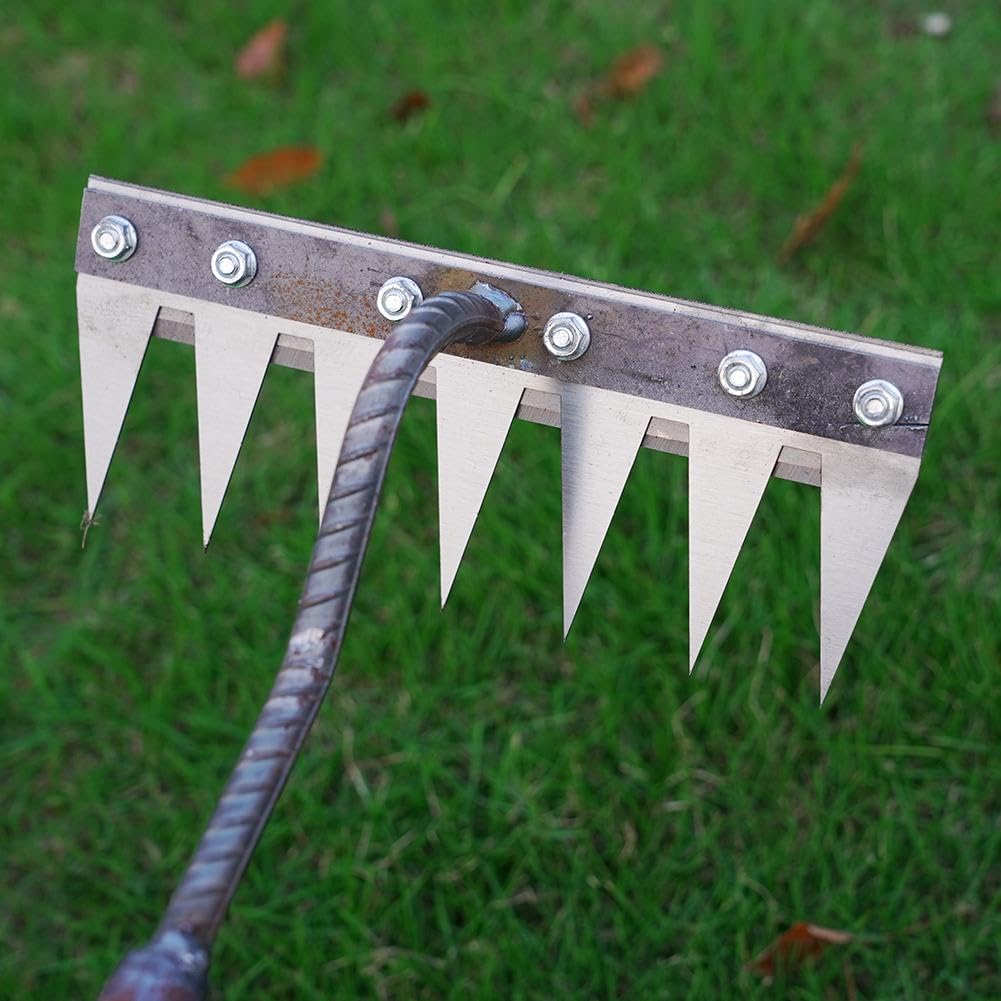 Scarification Rake