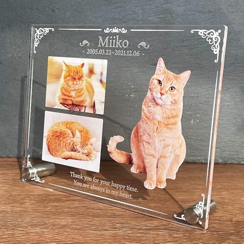 ybg tHgv[gyNVbNz 傫TCY  L  L ybg A AObY ObY ʐ^   蕨 ybgObY 킢 Vv I[_[Ch IWi e  ʔv ybg{ LO a 