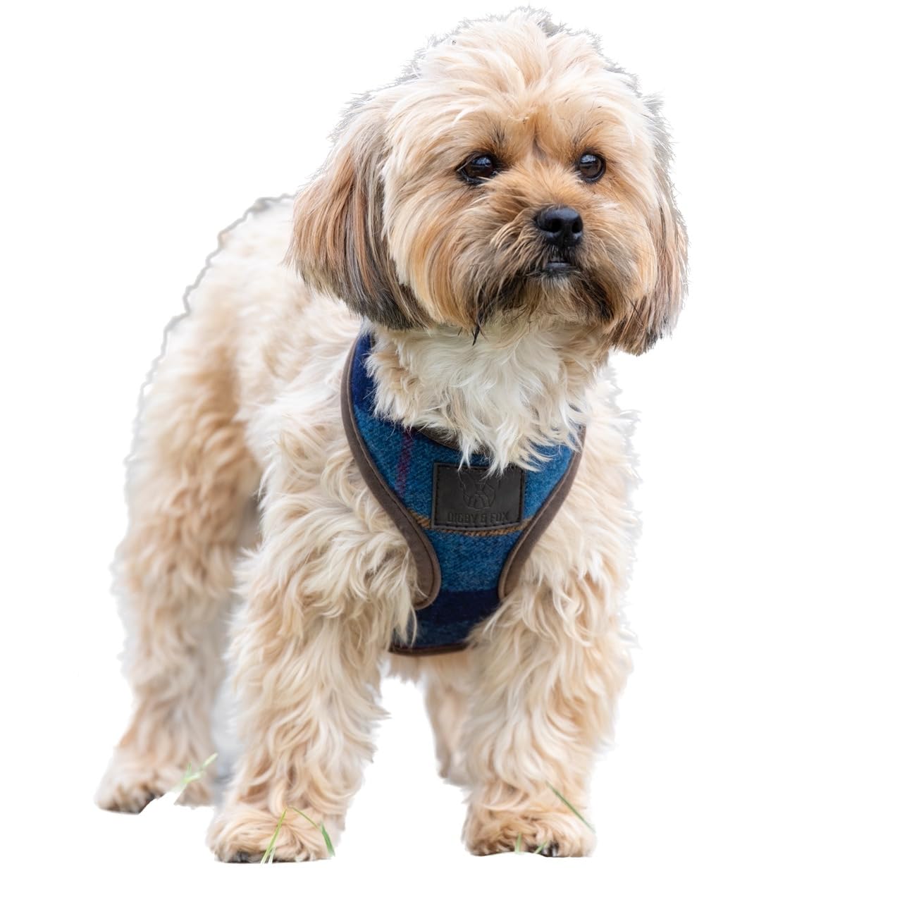 Shires Digby & Fox Tweed Dog Harness (Navy, Medium)