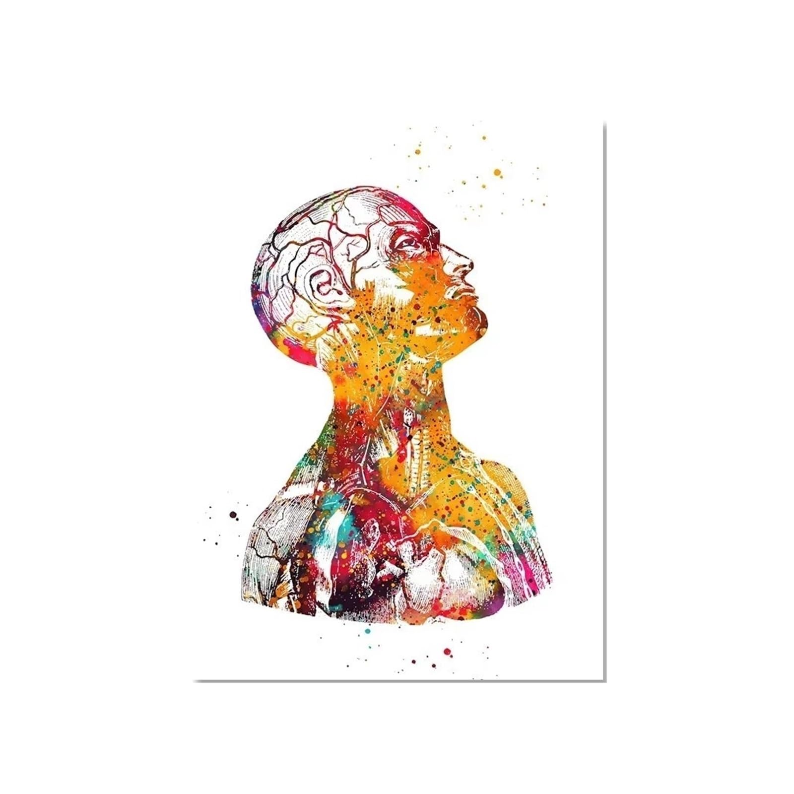 1pc Strona Główna Anatomia Człowieka Układ Mięśni Obraz Ścienny Na Płótnie Plakaty I Druki Mapa Ciała Zdjęcia Edukacja Medyczna Decor(ZLH8620,50x70cm Unframed)