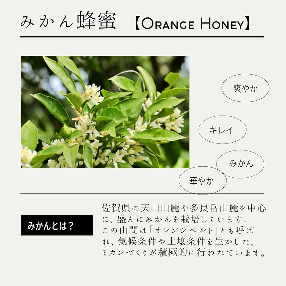 【メガネ先輩？】国産純粋みかんハチミツ500g 8本セット 2022年産 国産純粋みかんハチミツ500g 8本セット