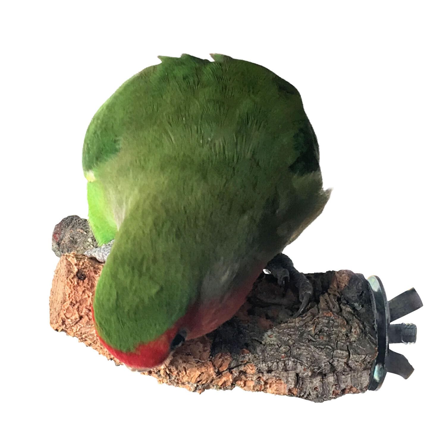 Vogelgaleria® Cork Perch for Budgie Cockatiel & More - 10 cm Natural Cork Bird Perch with Foot Care & Nibbling Fun - Brown - Image 2