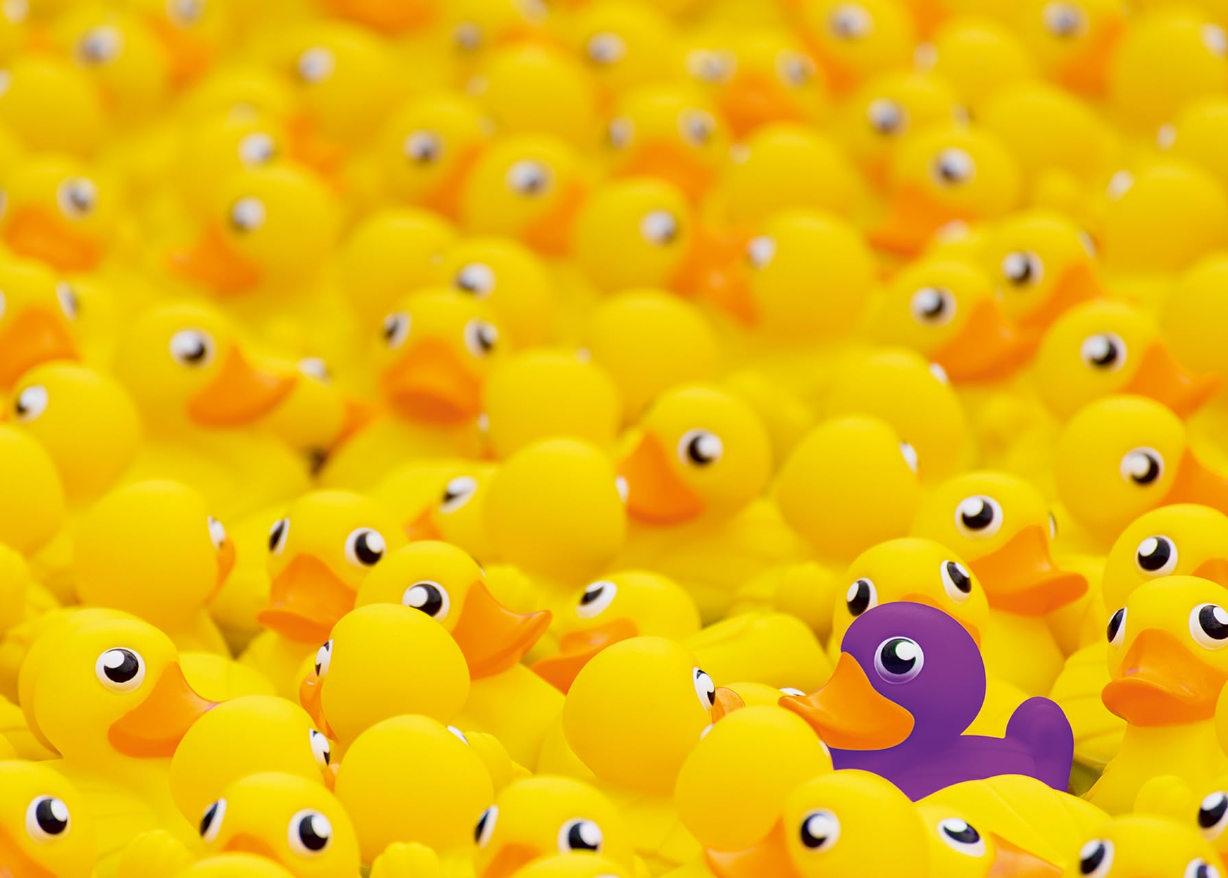 Ravensburger 12000587 - Challenge Rubber ducks - 1000 pieces jigsaw puzzle – Puzzle for adults and kids age 14 years up, Difficult puzzle