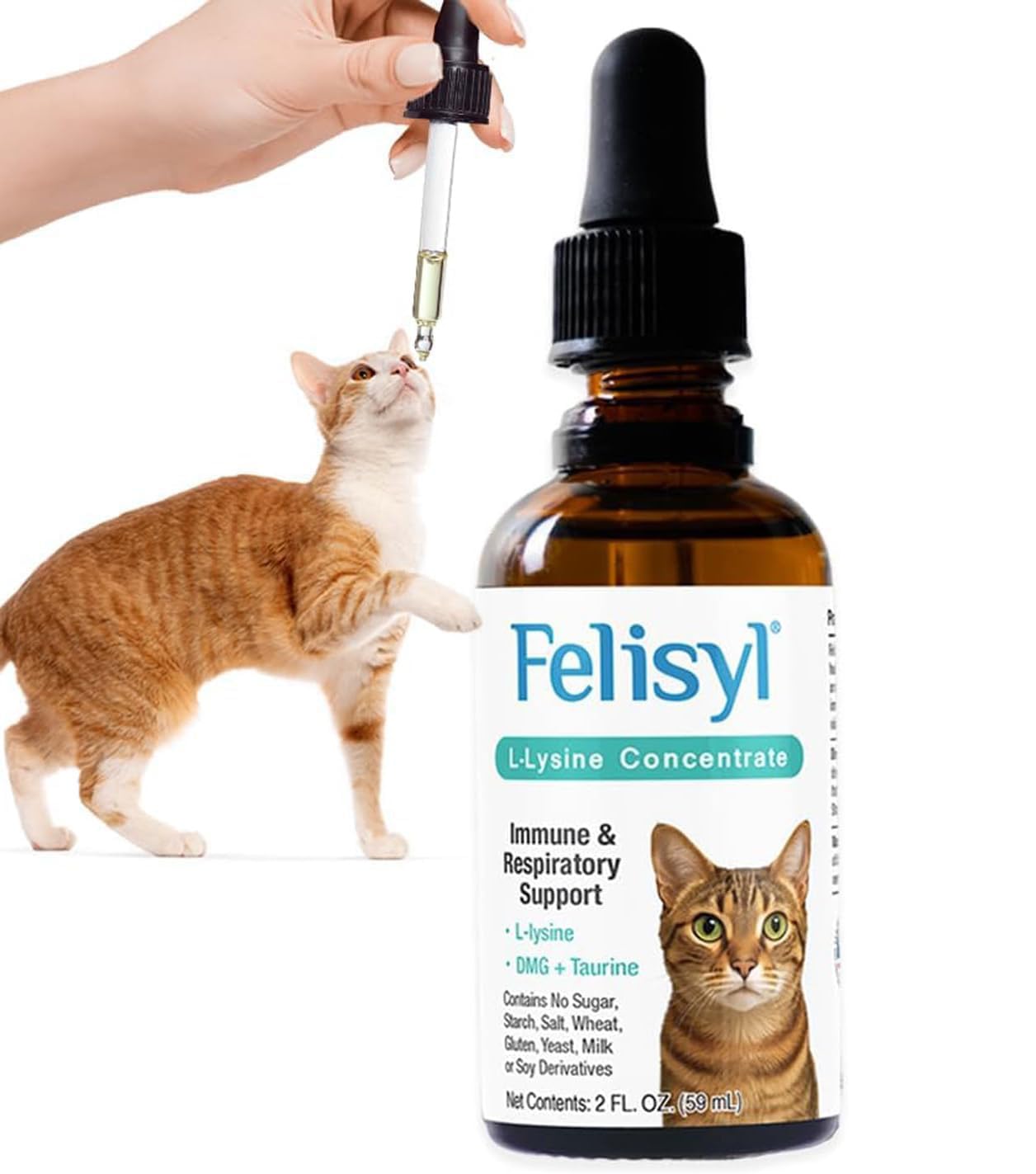 Felisyl L-Lysine for Cats, Feline Immune Support Liquid Concentrate, Chicken Flavor, Supports Immune System & Respiratory Health, Made in USA, 2 fl oz