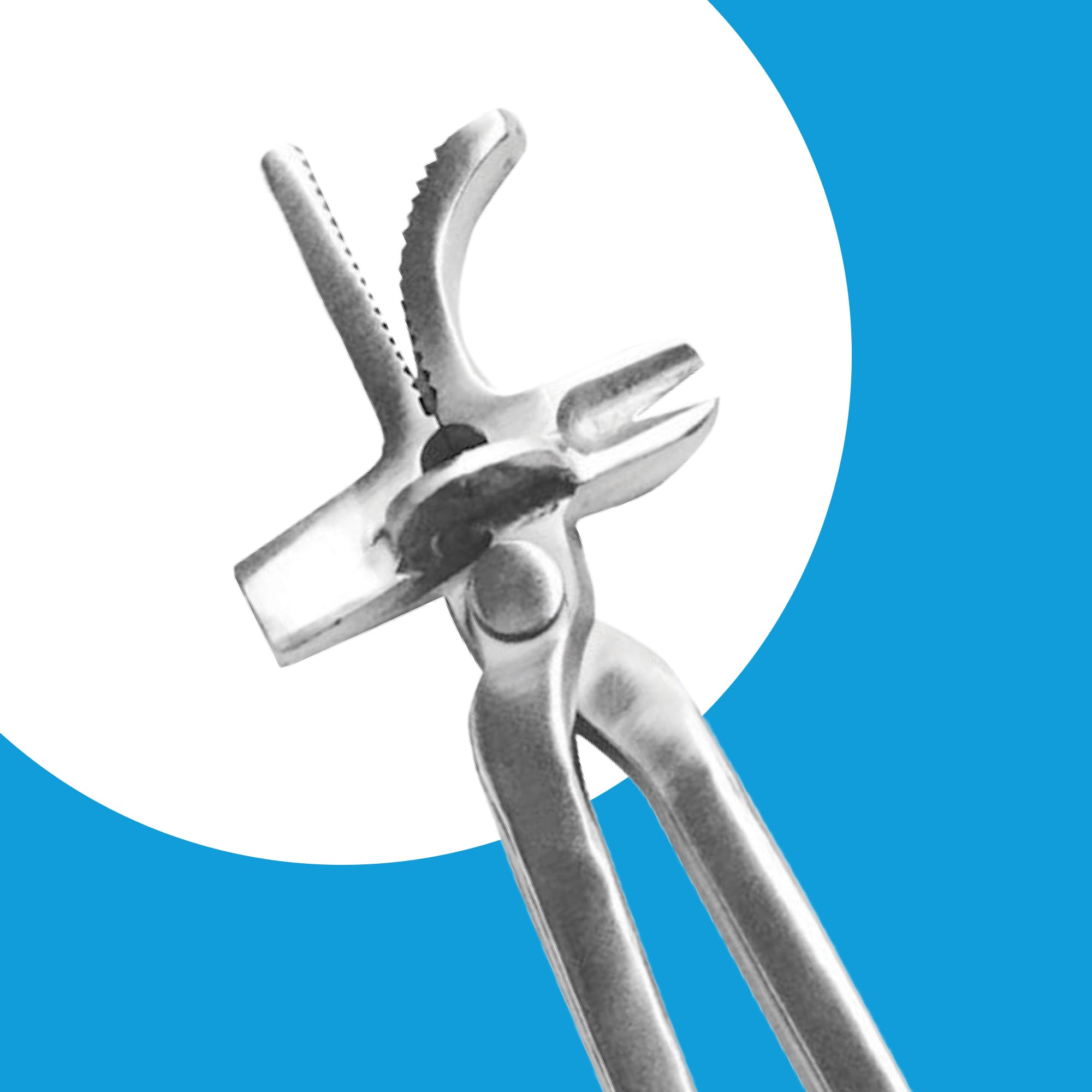 DrTail 5-in-1 Farrier Tool – 13