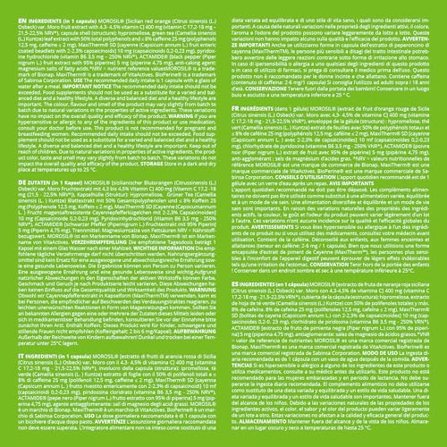 Morosil, Grüner Tee, Vitamin C, Vitamin B6, Cayennepfeffer und Koffein - Thermogenese, Stoffwechsel, Bauch - 30 Kapseln für 30 Tage - Mit Kostenlosem E-Book-Guide - AdipoBurn XXL - Slimmium Sensilab