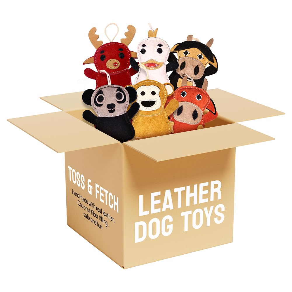 6 Assorted Leather Dog Toys for Small Dogs Puppies Natural Leather Chew Toys w Coconut Fiber Filling Jute